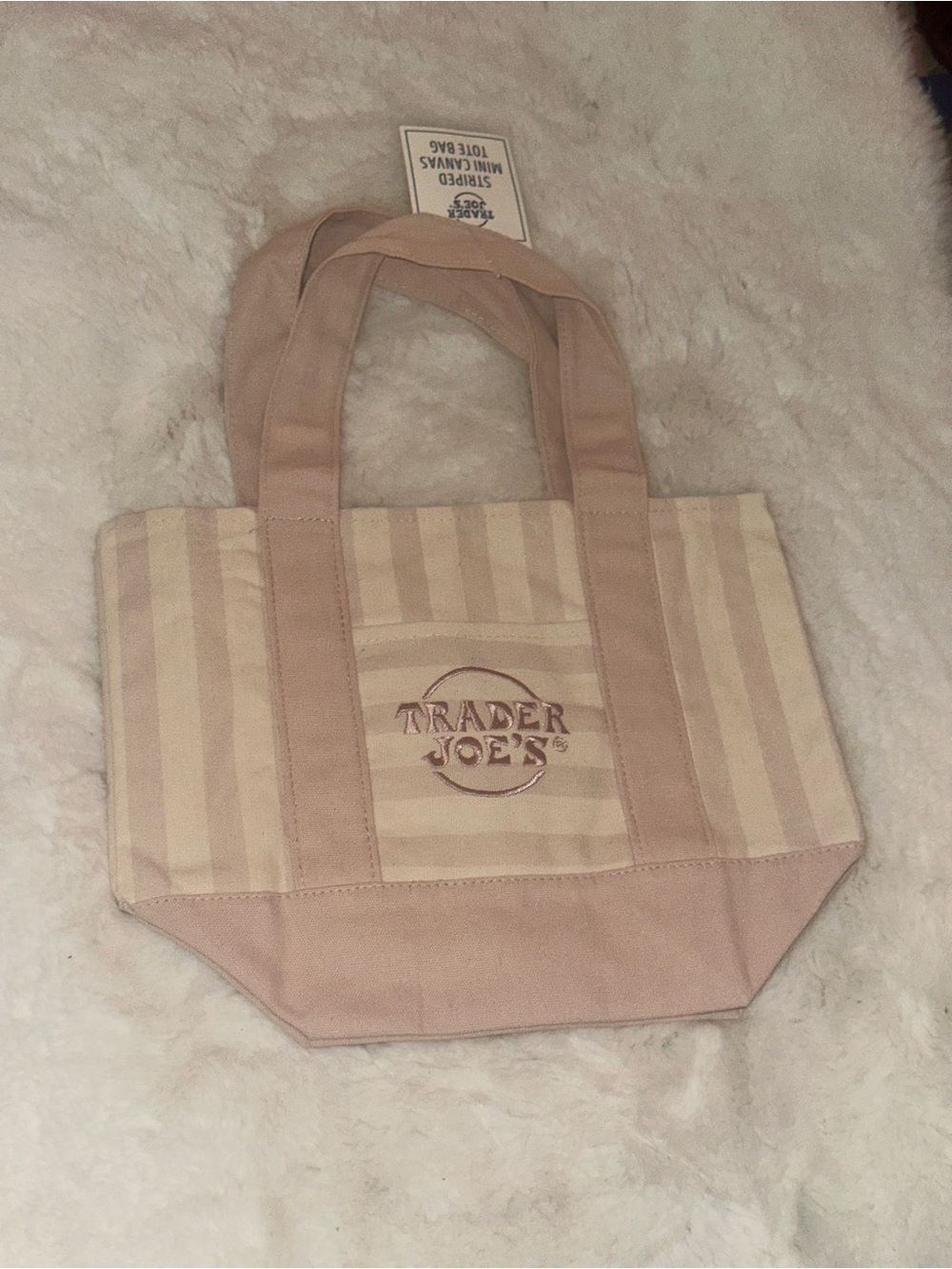 Trader Joe’s Striped Mini Tote